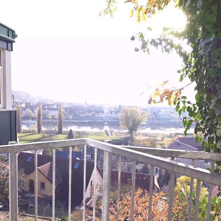 Appartamento Vogelnest Pirna Esterno foto